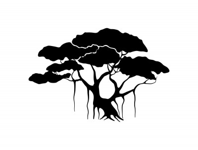 Banyan Tree